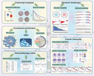 Identification of CHMP7 as a promising immunobiomarker for immunotherapy and chemotherapy and impact on prognosis of colorectal cancer patients